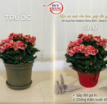 thay áo mới cho chậu hoa màu đỏ