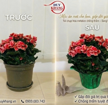 túi đựng hoa màu xanh